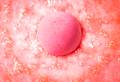 Broken Heart bath bomb fizzing away, releasing pink clouds and golden glitters into the water.