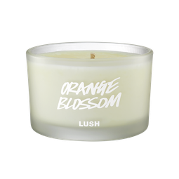 Orange Blossom scented candle, candle is shown from the side, where the white wax can be seen through frosted glass.