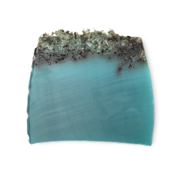 Sea Vegetable. A turquoise, trapezium shaped soap, topped with black arame seaweed and coarse sea salt.
