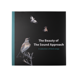 The Beauty of the Sound Approach