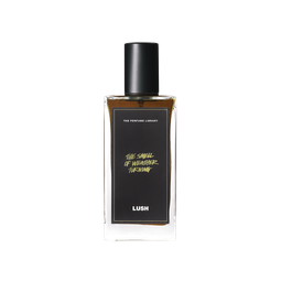 A dark liquid filled glass perfume bottle with a black label, reading 'The Perfume Library' and 'The Smell of Weather Turning'.