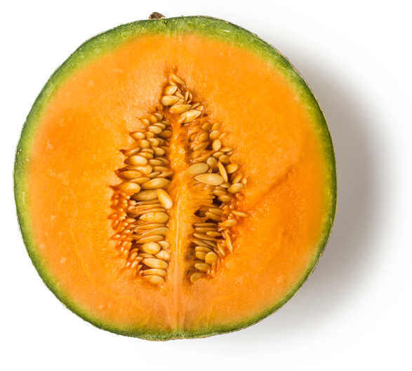 Fresh Cantaloupe Melon - Image