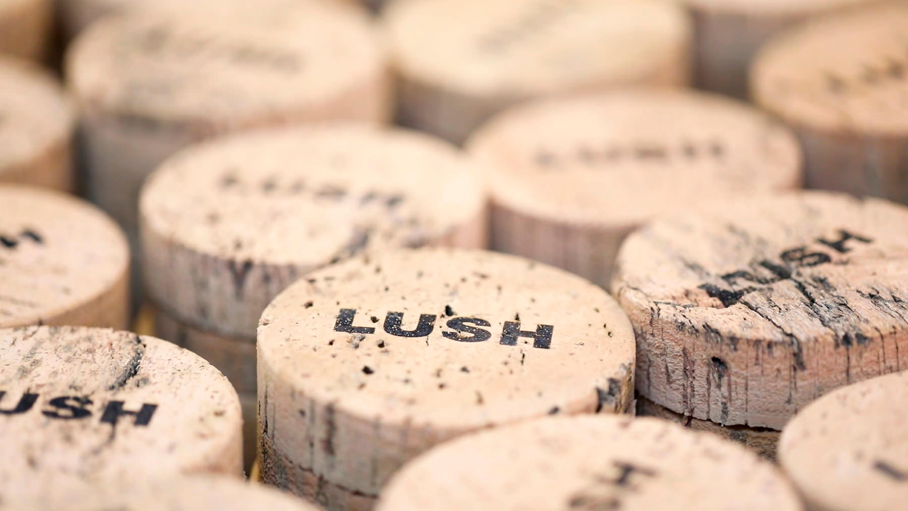 コルクの森の再生物語 | LUSH