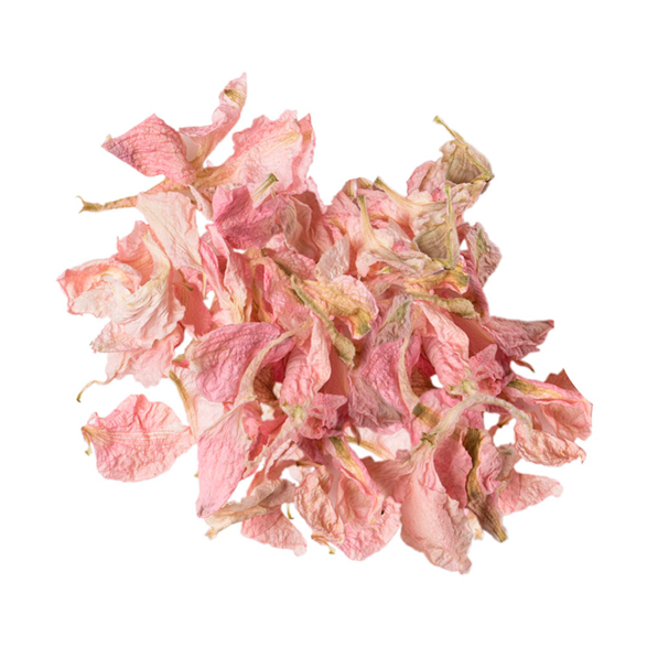 Dried Pink Delphinium Petals - Bild