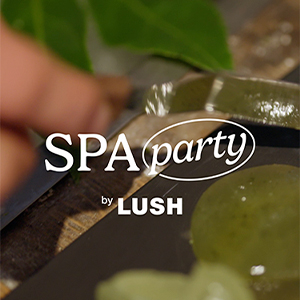 On sale Lush Lot for Spa_all_day