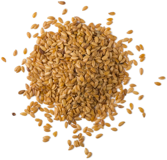 Linseed oil - Image