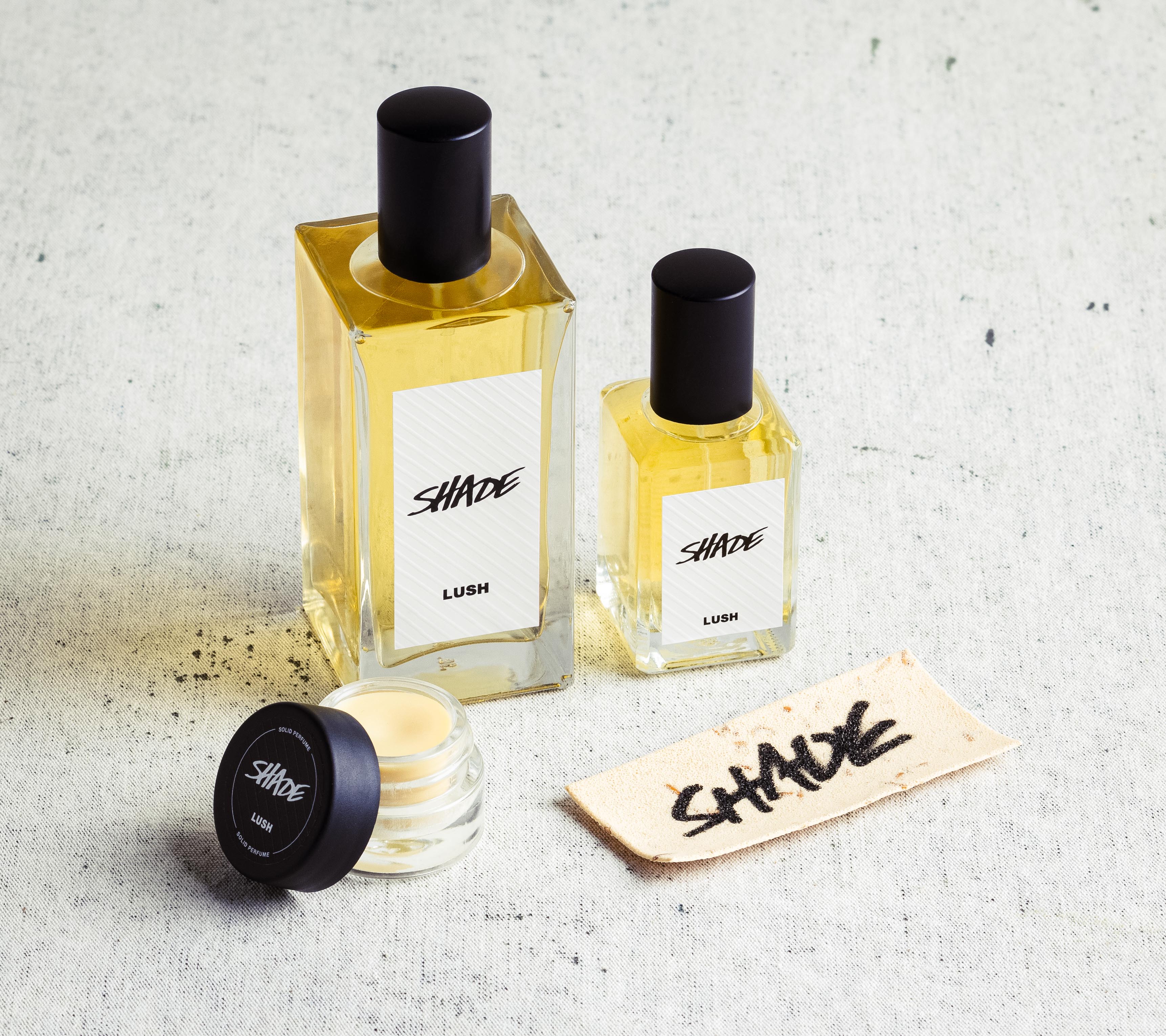 homoseksueel consensus delicaat Shade Solid Parfume | Lush
