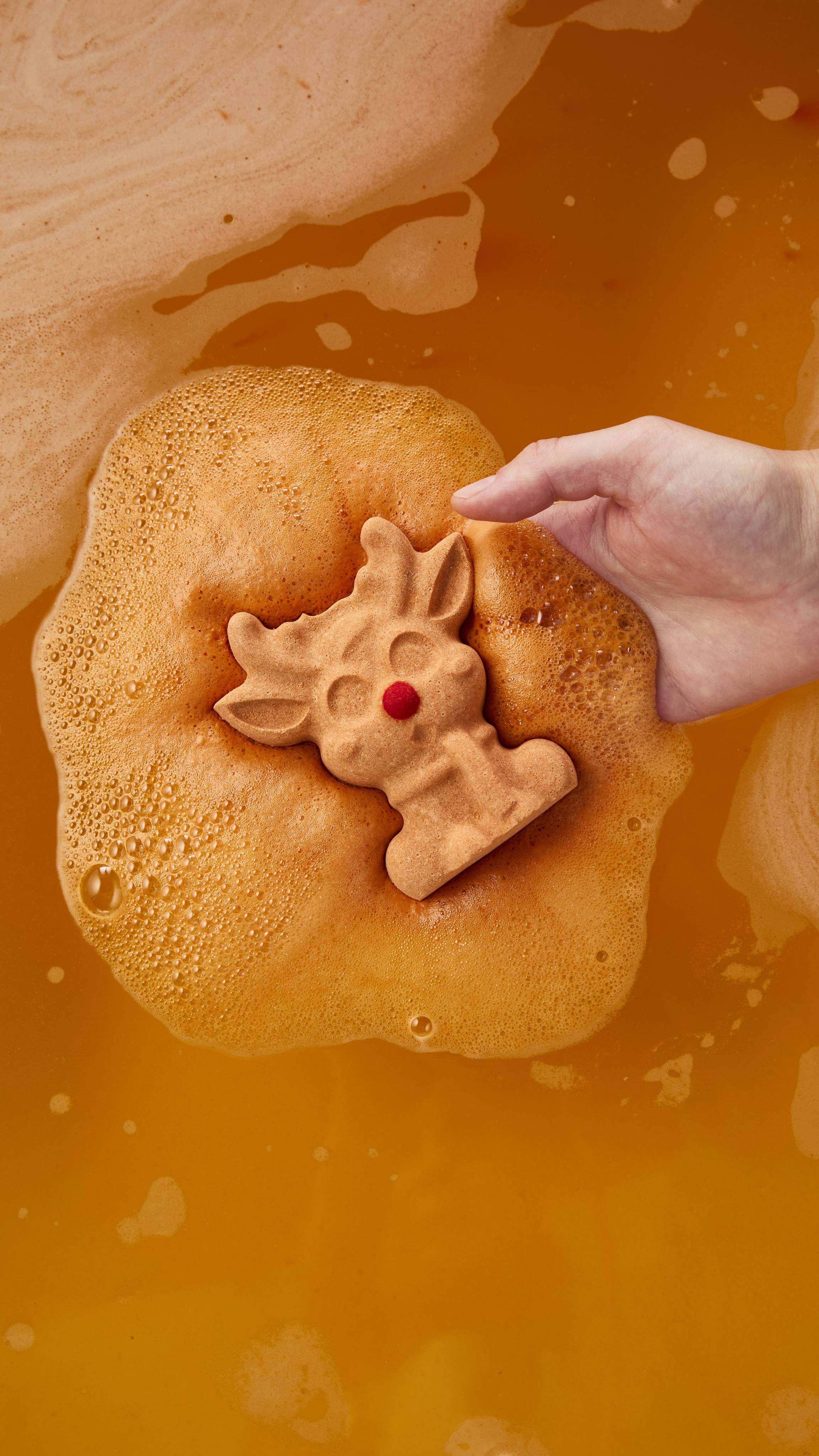 Reindeer