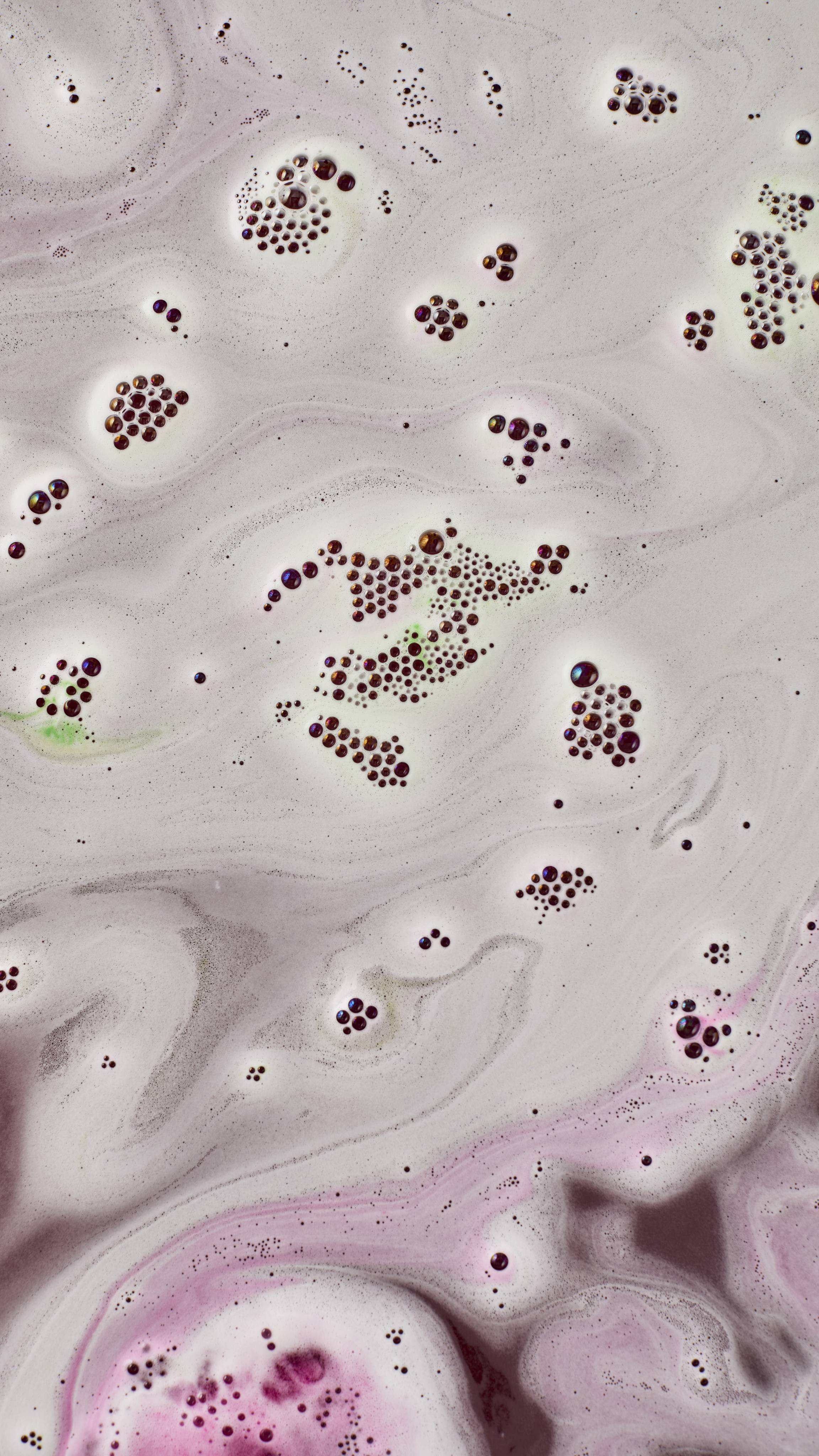 Lord of Misrule