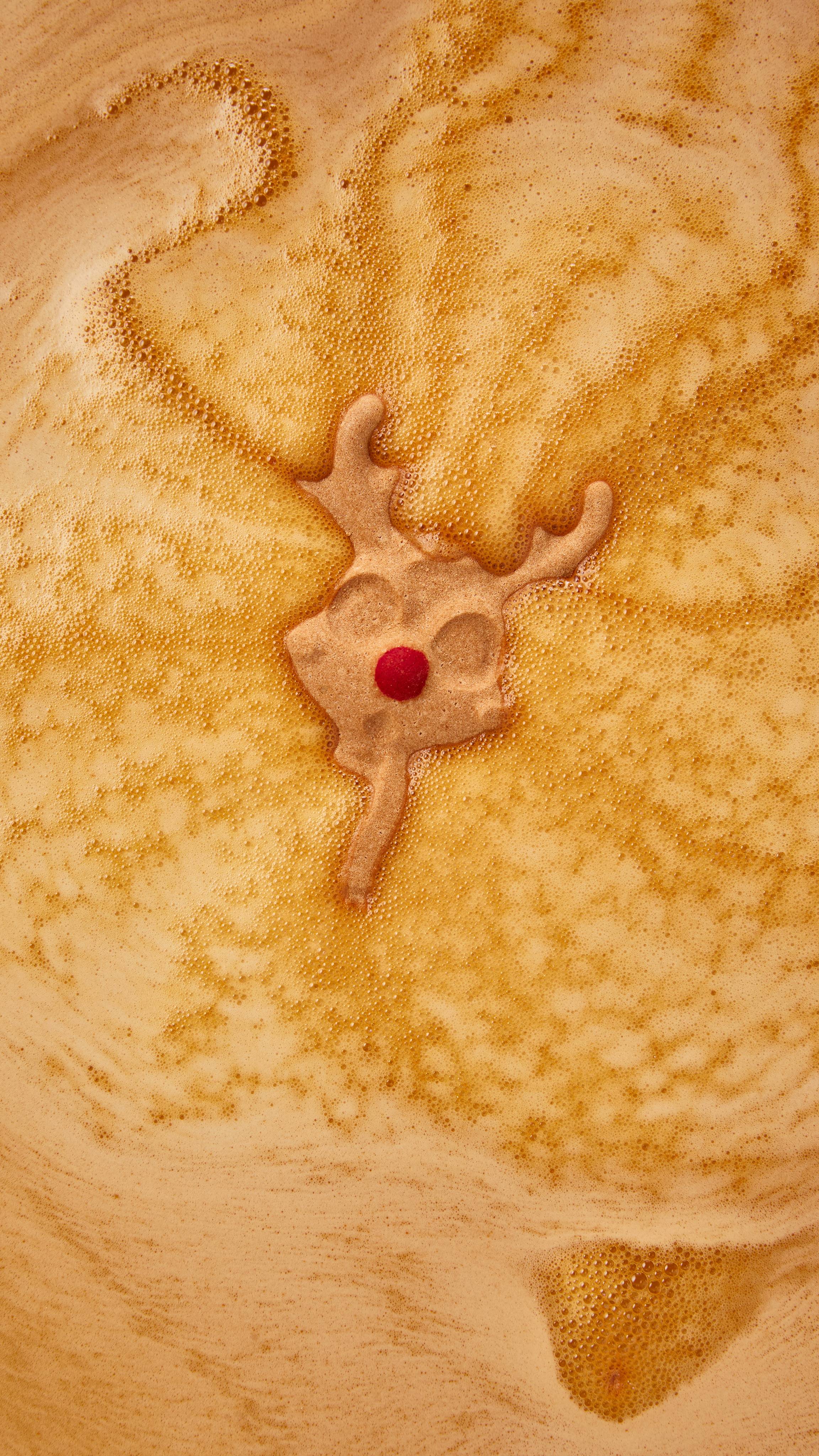 Reindeer
