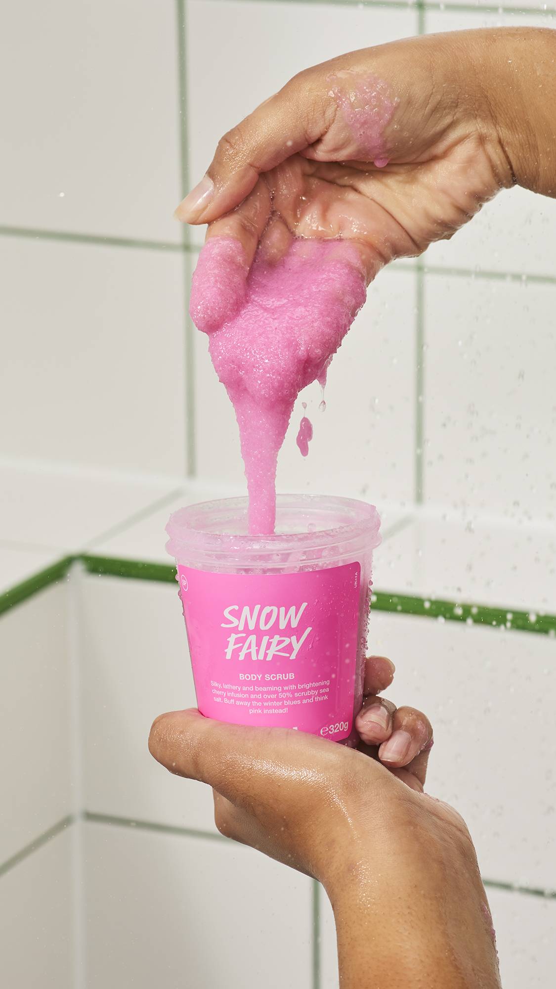 Snow Fairy