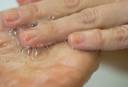 A pale yellow, almost clear, shampoo is rubbed into the palm of the hand, creating lots of bubbles.