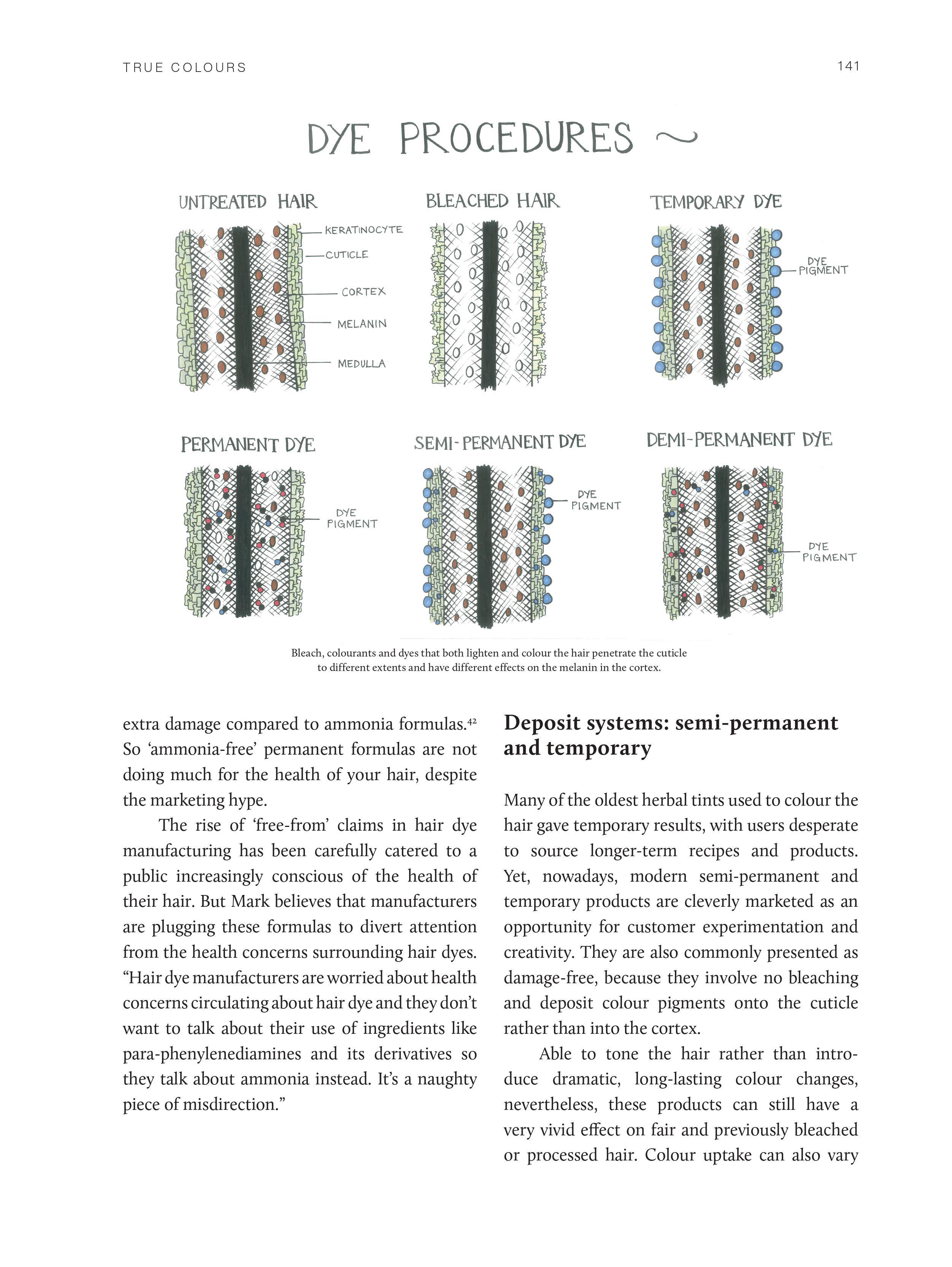 True Colours Book | The World of Henna Hair Dyes
