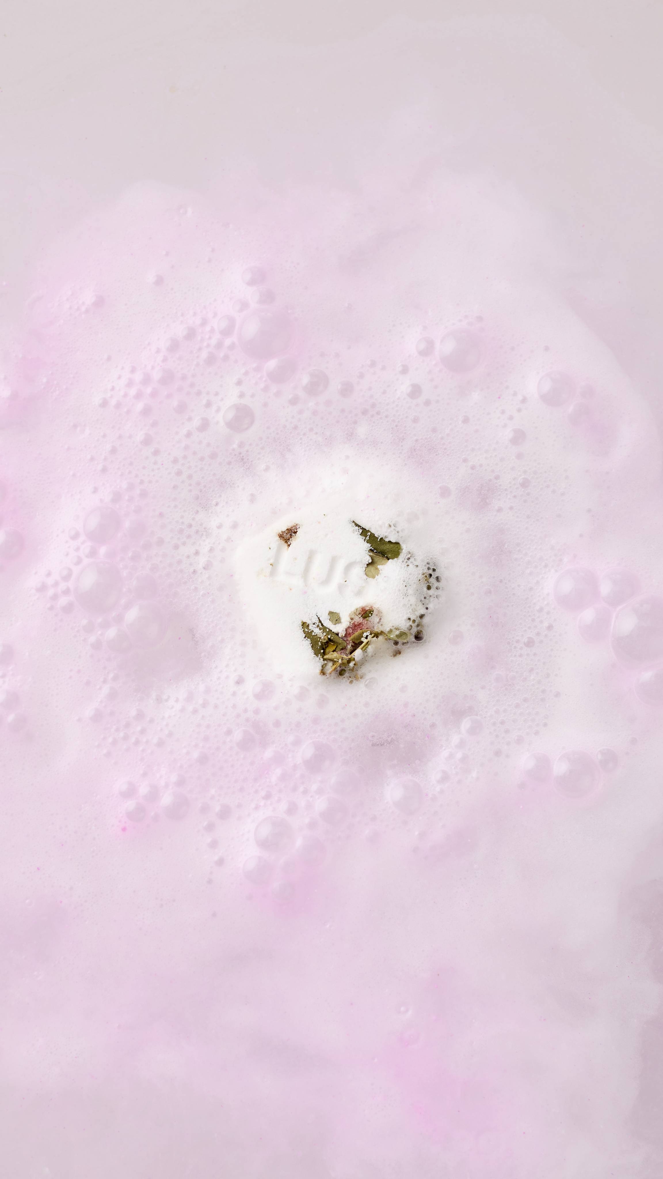 Ippuku In Spring Gift