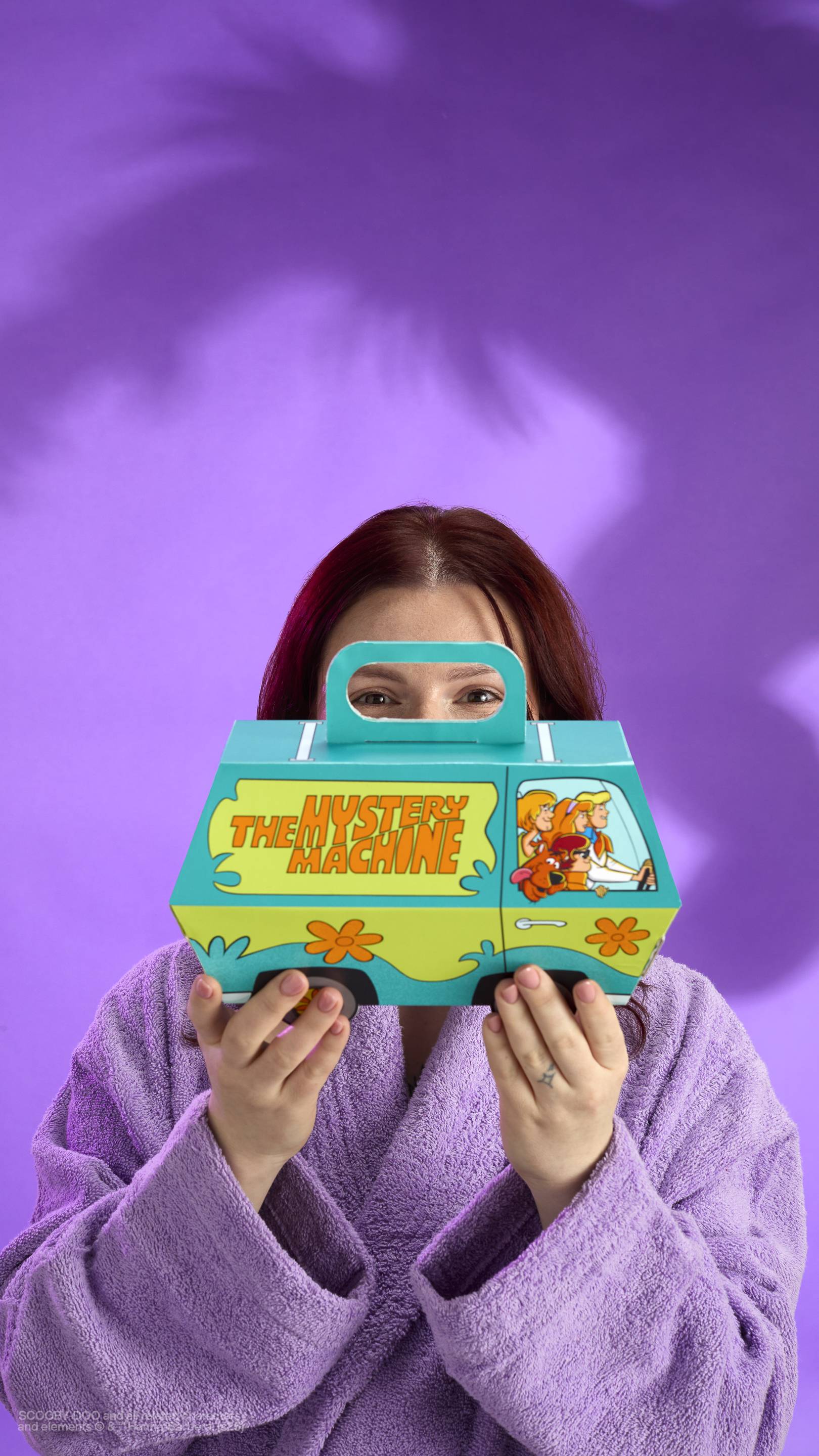 Mystery Machine ™ Sundry Box