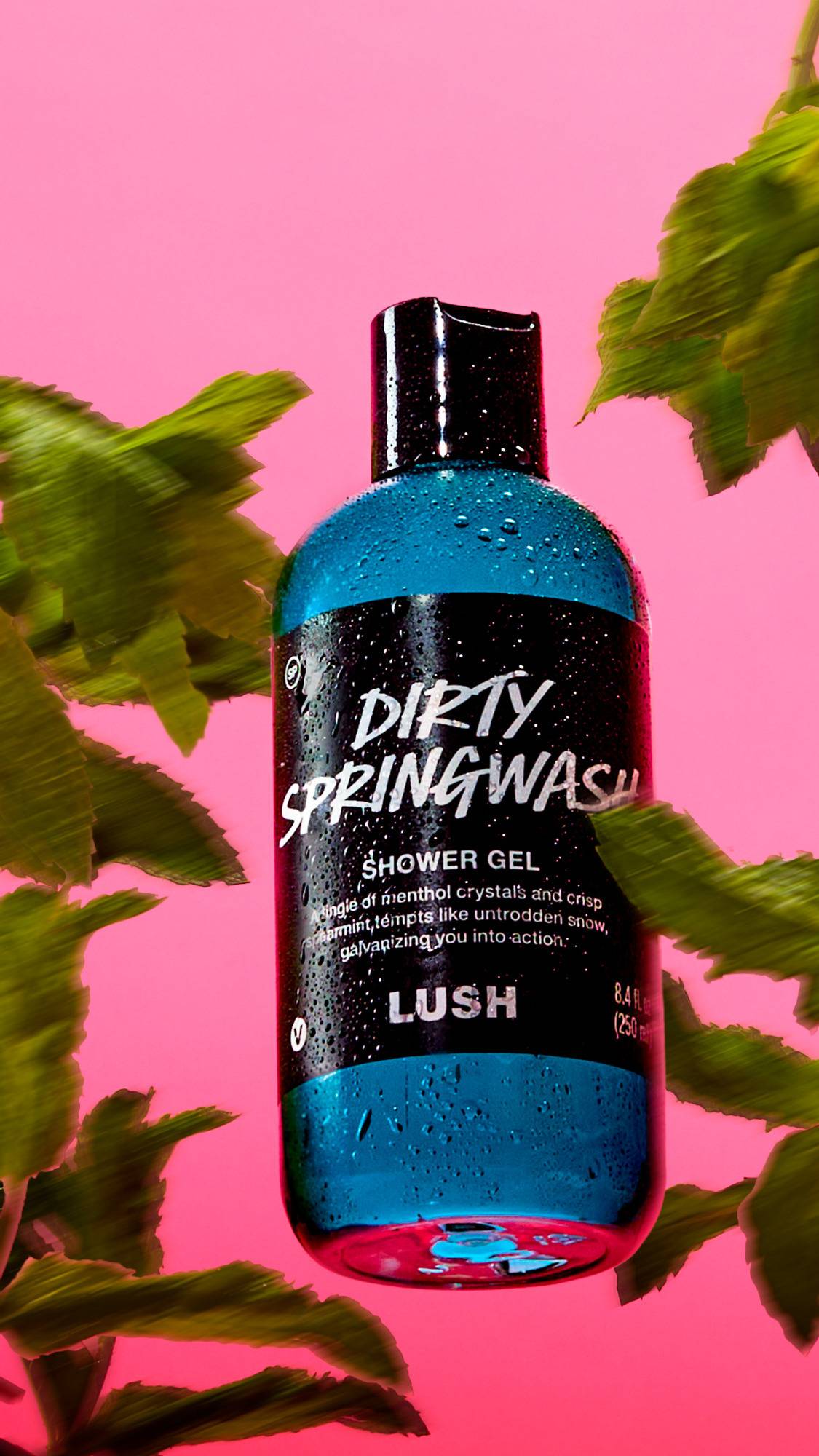 ダーティスプリングウォッシュ シャワージェル | ボディソープ | LUSH