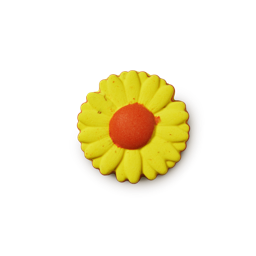 Sonflower