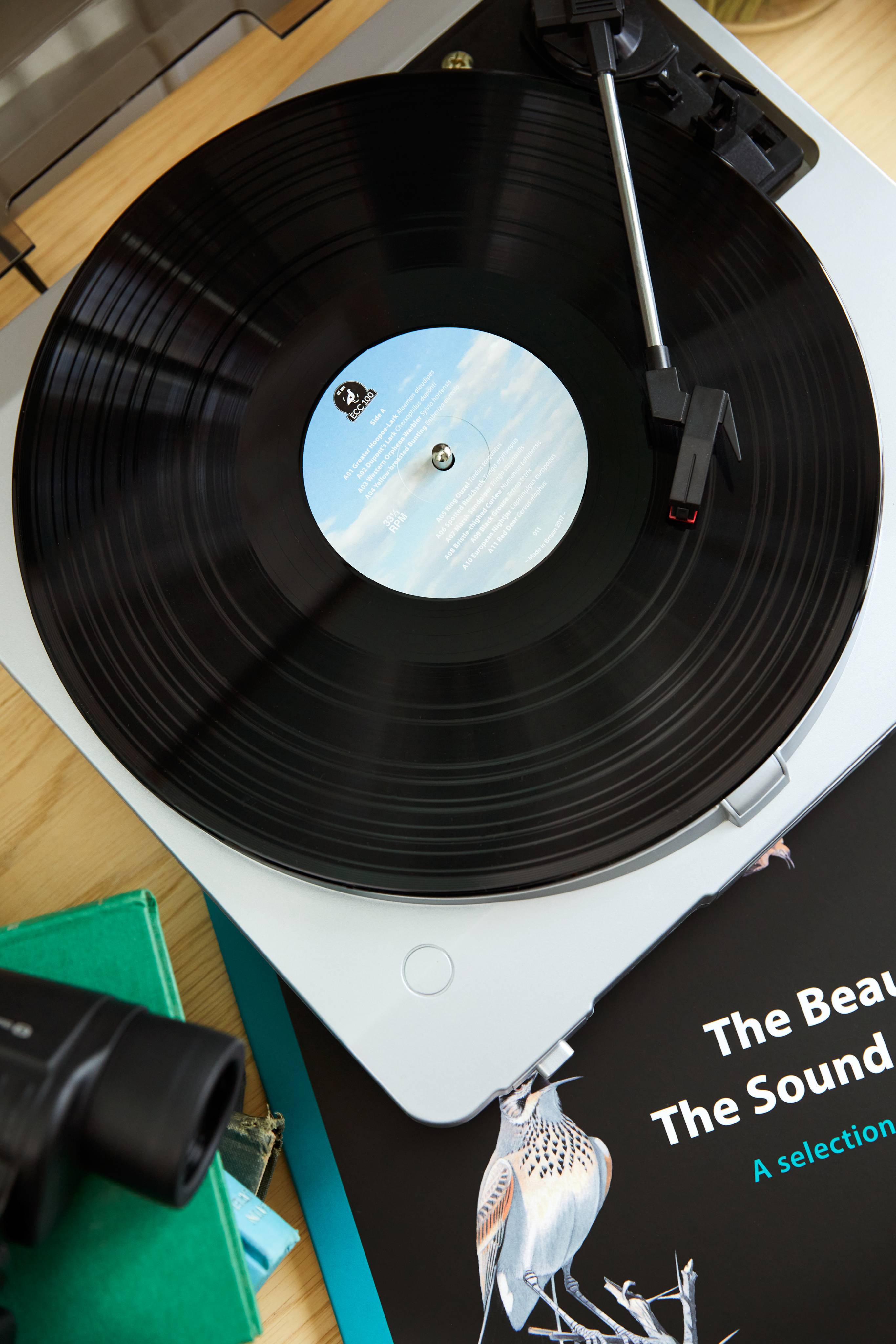 Vinyle avec clé USB The Beauty Of The Sound Approach