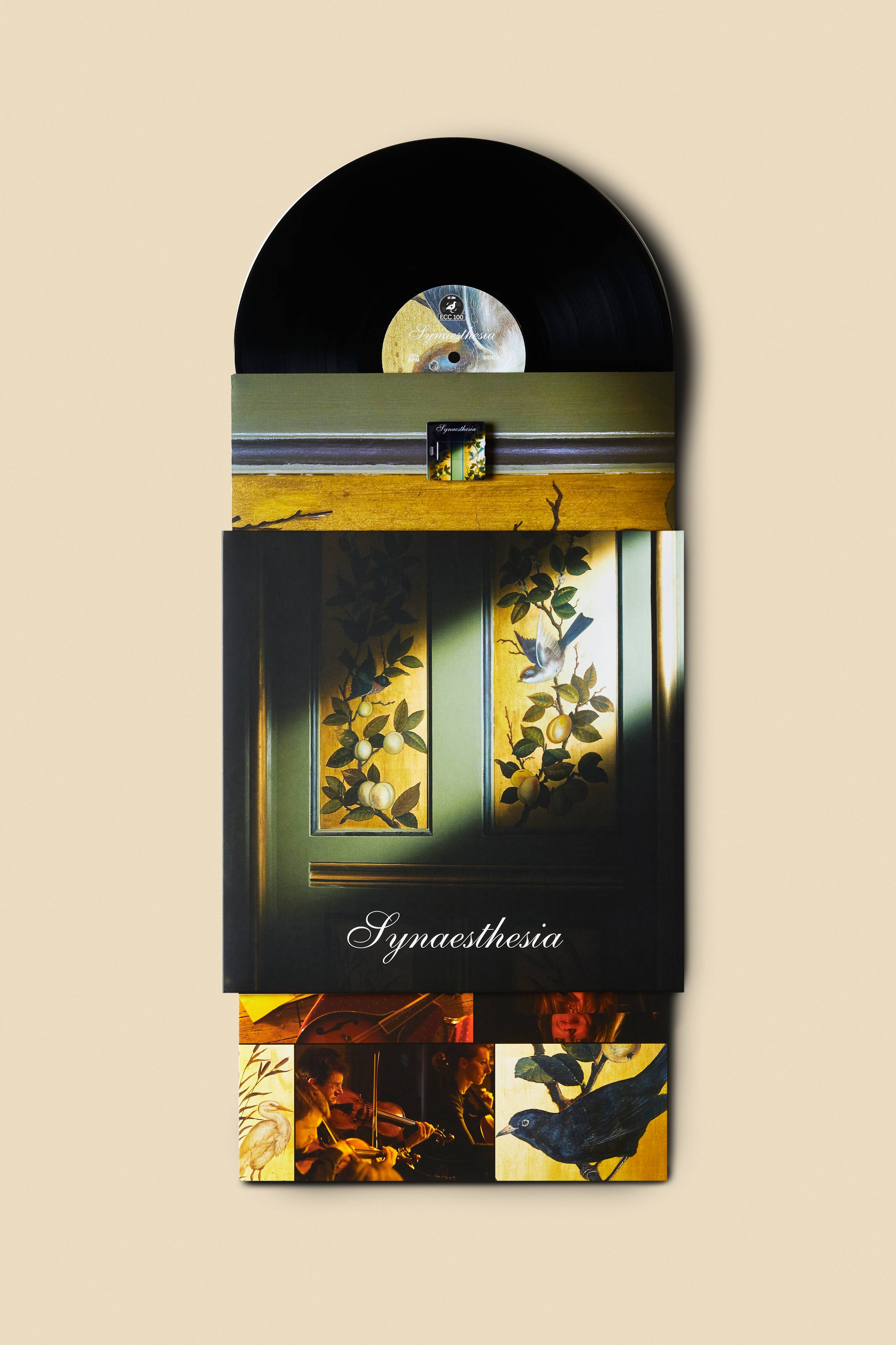 Vinyle avec clé USB Synaesthesia