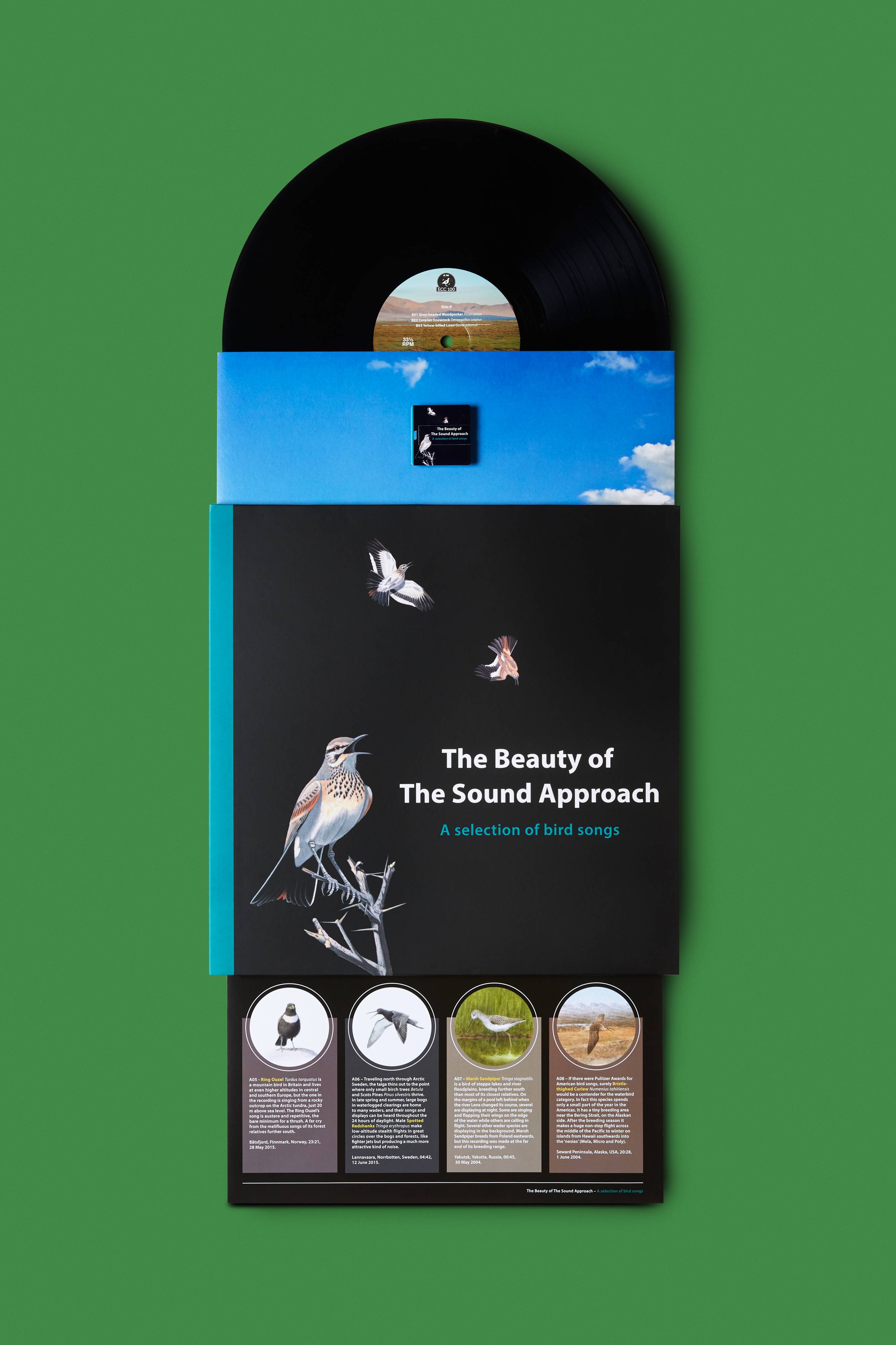 The Beauty Of The Sound Approach Vinyl With USB