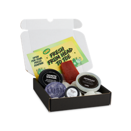 Balancing. The image shows an opened Balancing Freshers box. The lid is open and it is at an angle. There are three potted products and two non-packaged products surrounded by Eco-pops with two brightly coloured paper inserts.