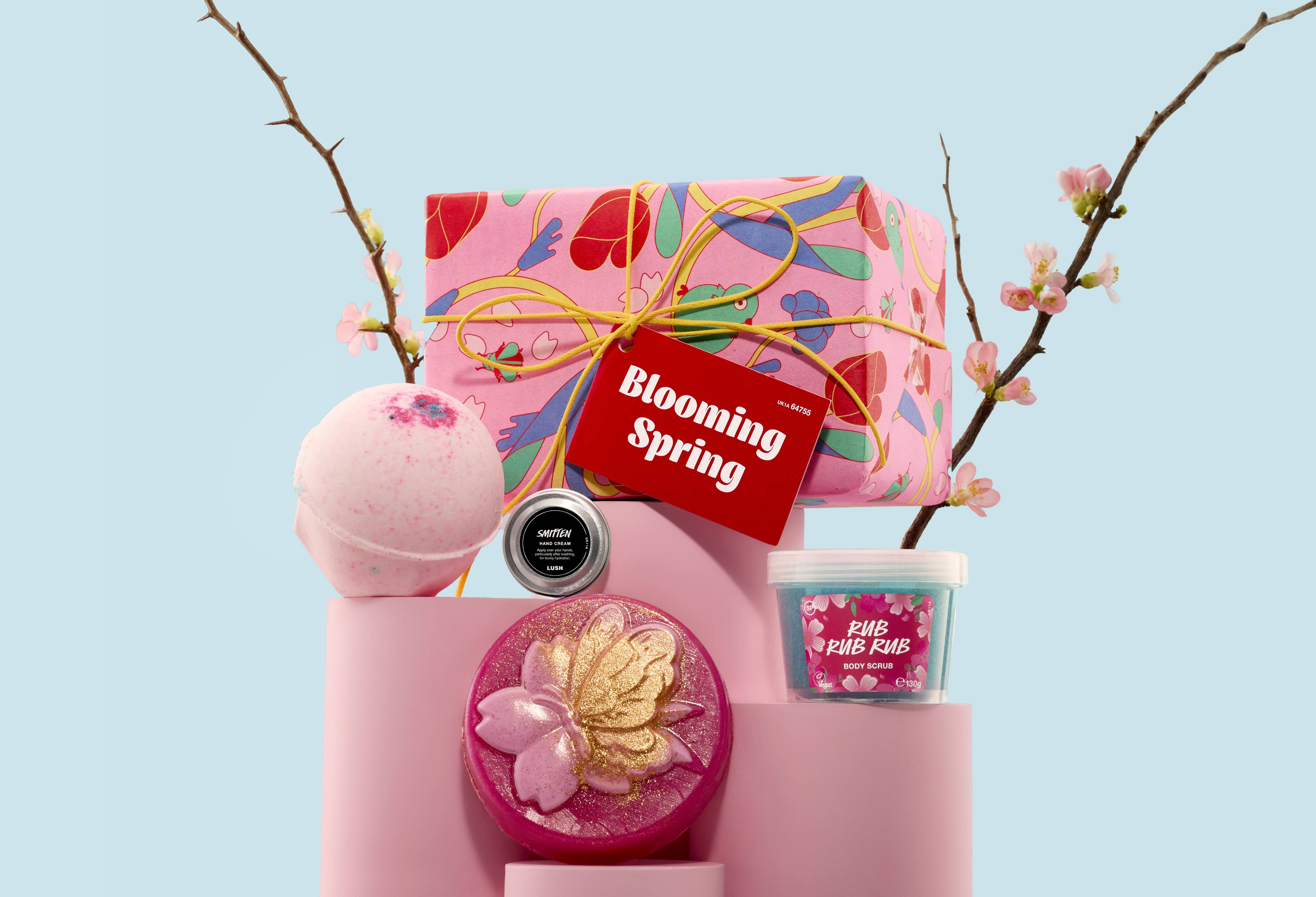 Blooming Spring Gift