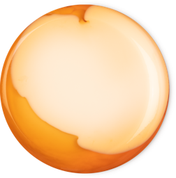 An image of Bongo | Shower Jelly