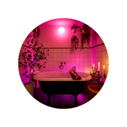 クリスマス商品 | ボディソープ・入浴剤・バスボム 他 | LUSH