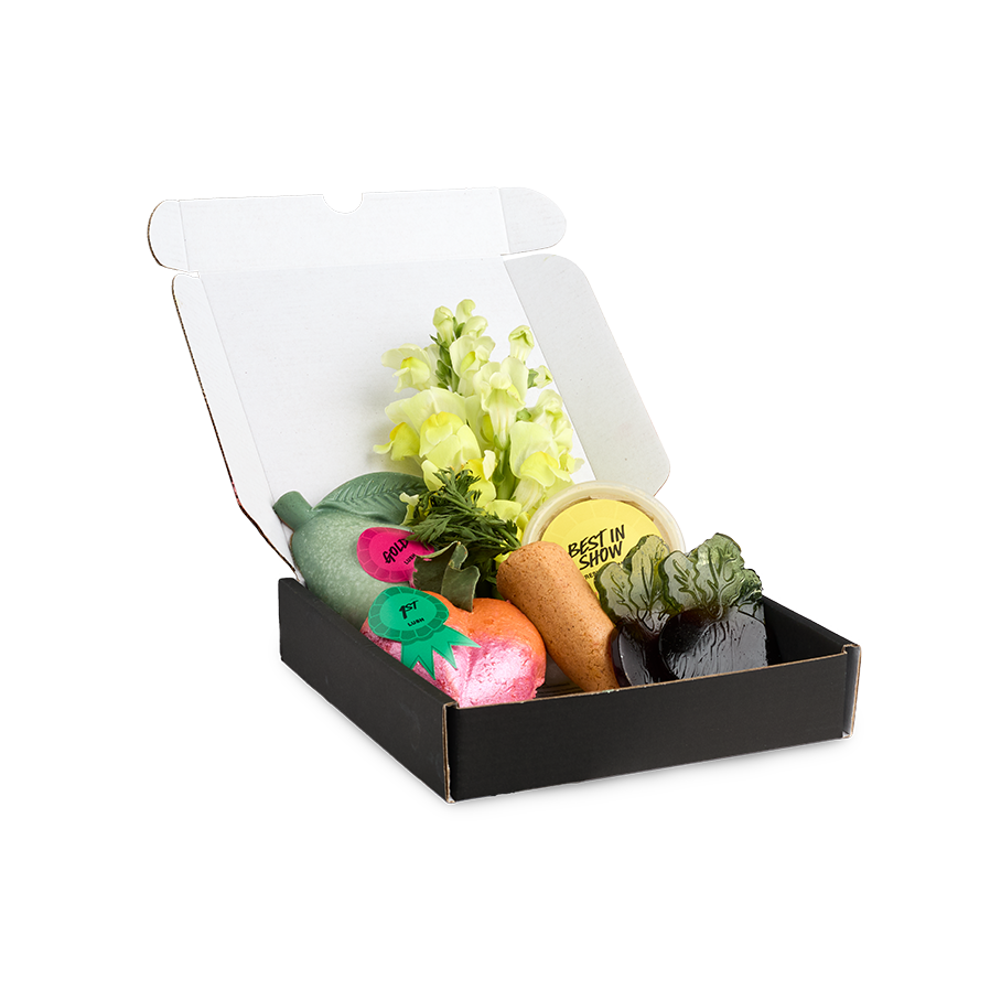 LUSH サブスク シャワーセット Amazon | LUSH ラッシュ オール ザ ベスト All The Best ギフト