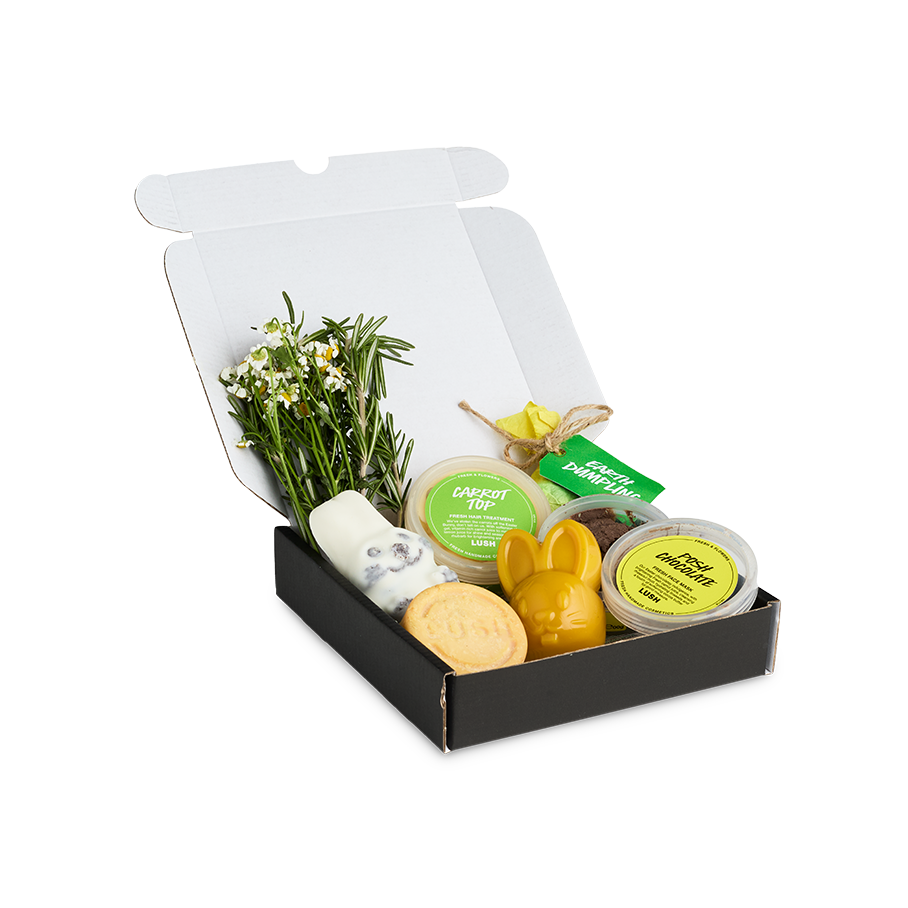 Fresh & Flowers サブスクリプション | LUSH