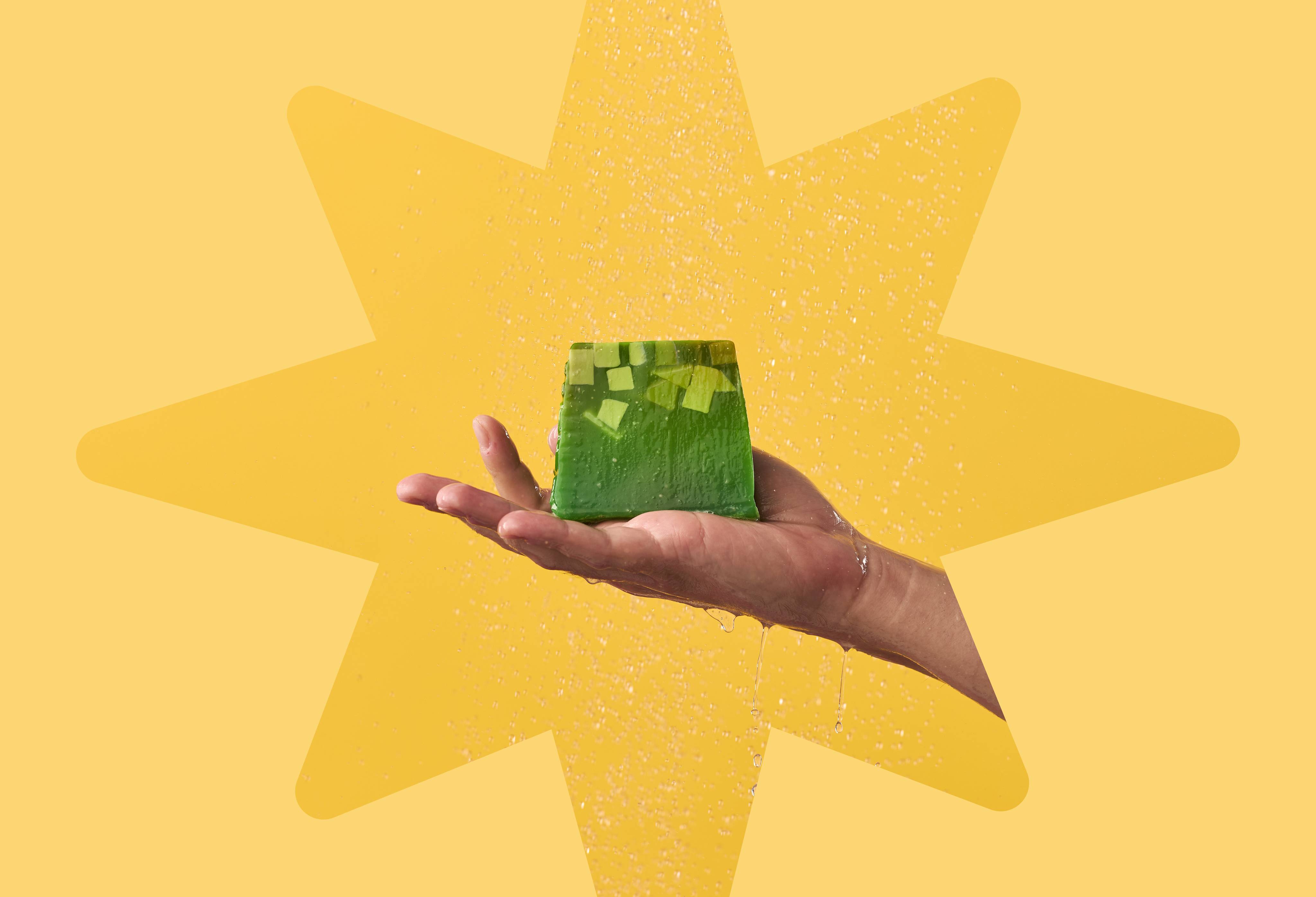 フェスティブフレッシュ ギフト | LUSH