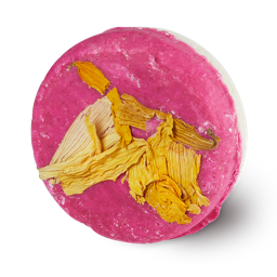 An image of LUSH - Coconut Rice Cake   Shampoo Bar