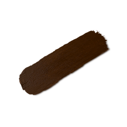 An image of Dark Warm Beauty Balm | Push Pigment