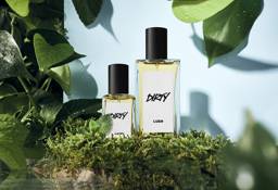 dirty_landscape_perfume_2022-