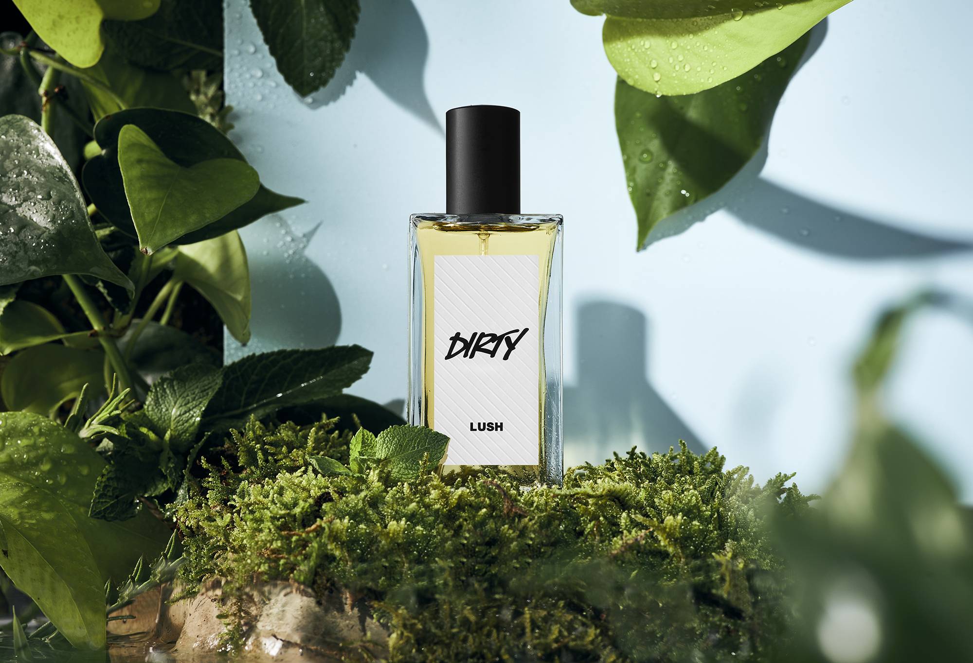 Lush best sale perfume uk