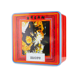 Dream More Tin