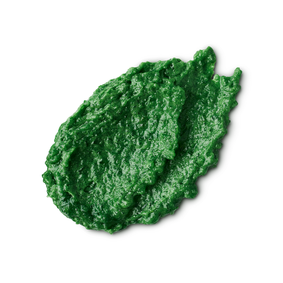 Elphaba's Lair Body Scrub