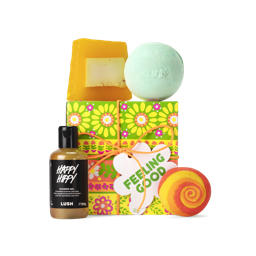 Lush store gift box