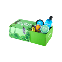 An image of LUSH | Lush Kitchen Shower Box | Abonnement