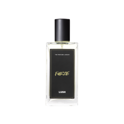 Furze
