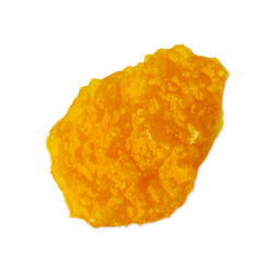 An image of LUSH | Ginger | PREORDER | Shampoo