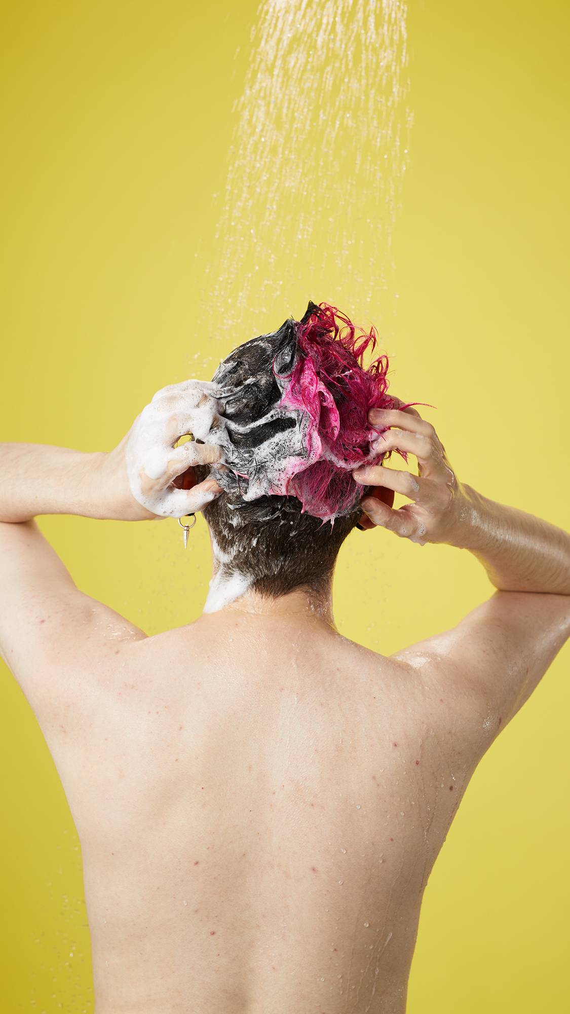 ゴダイバ シャンプーバー 固形シャンプー | LUSH