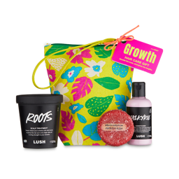 Growth. A yellow, fabric pouch bag with flower and leaf prints. In front are sat three hair care products consisting of a potted scalp treatment, solid shampoo bar and bottle of conditioner. 