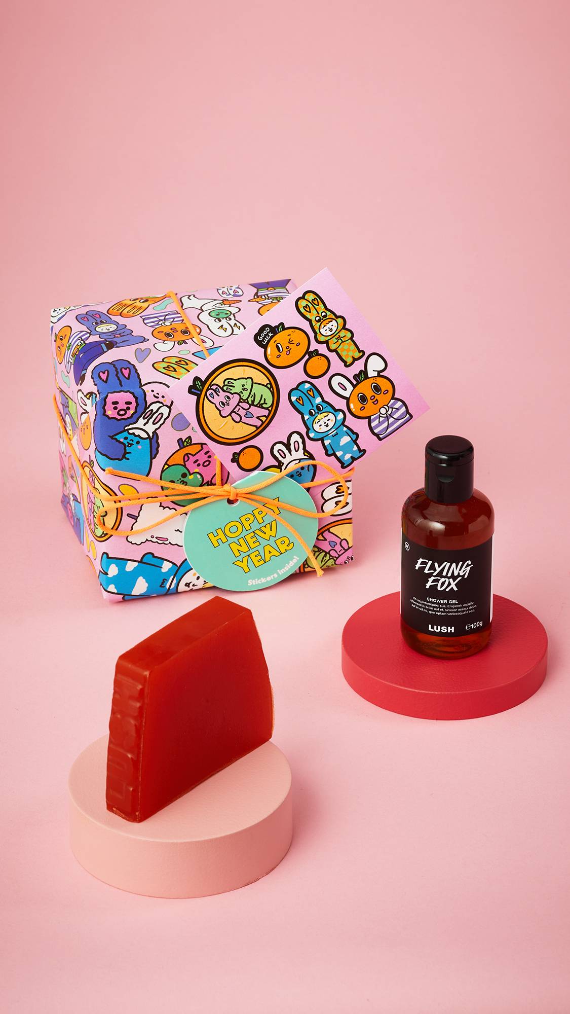 LUSH 空箱　ニューイヤーボックス　福袋　ギフトタグ ラッシュ ホッピー ニューイヤー ギフト | LUSH