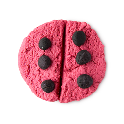 An image of LUSH | Ladybird | Arctisztító