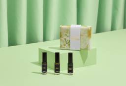 ラッシュ トリプティク パフュームギフト | LUSH