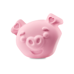 Pig Your Future