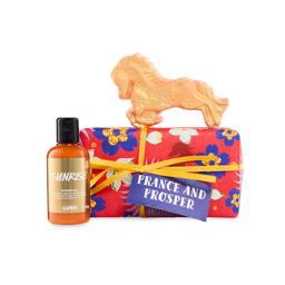 プランス アンド プロスパー ギフト | LUSH
