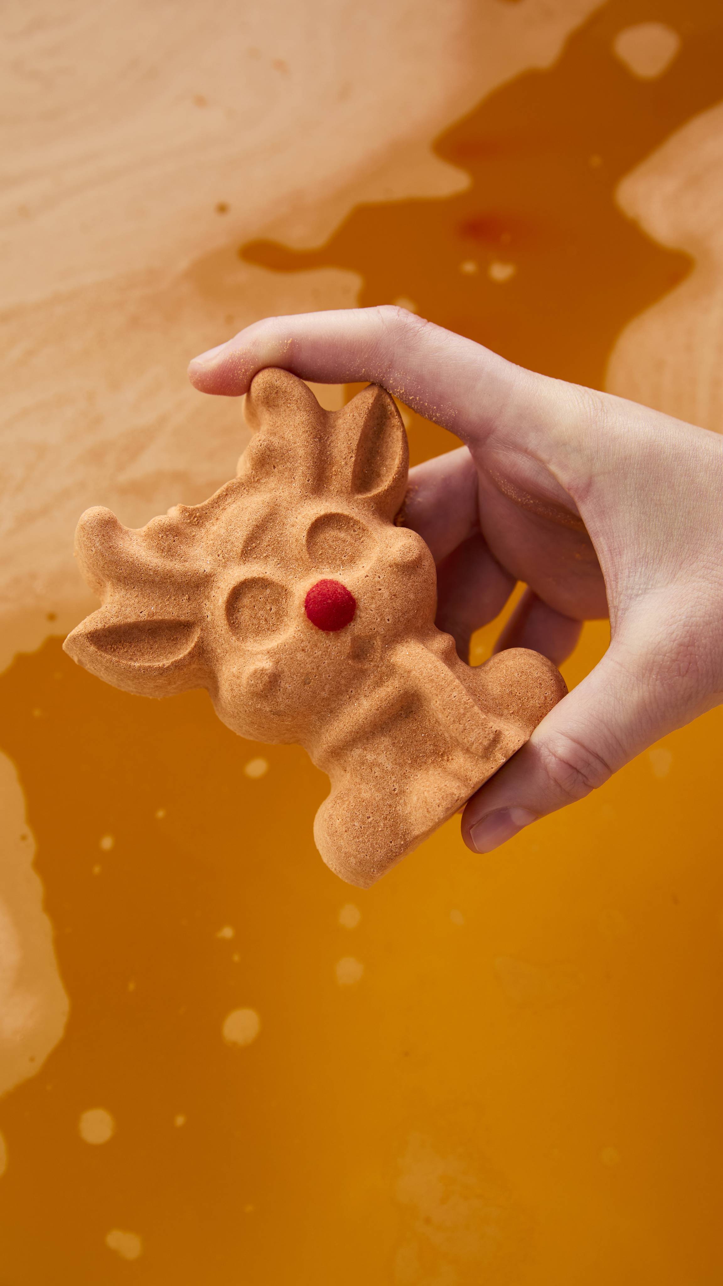 Reindeer