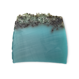 An image of LUSH - Sea Vegetable Soap